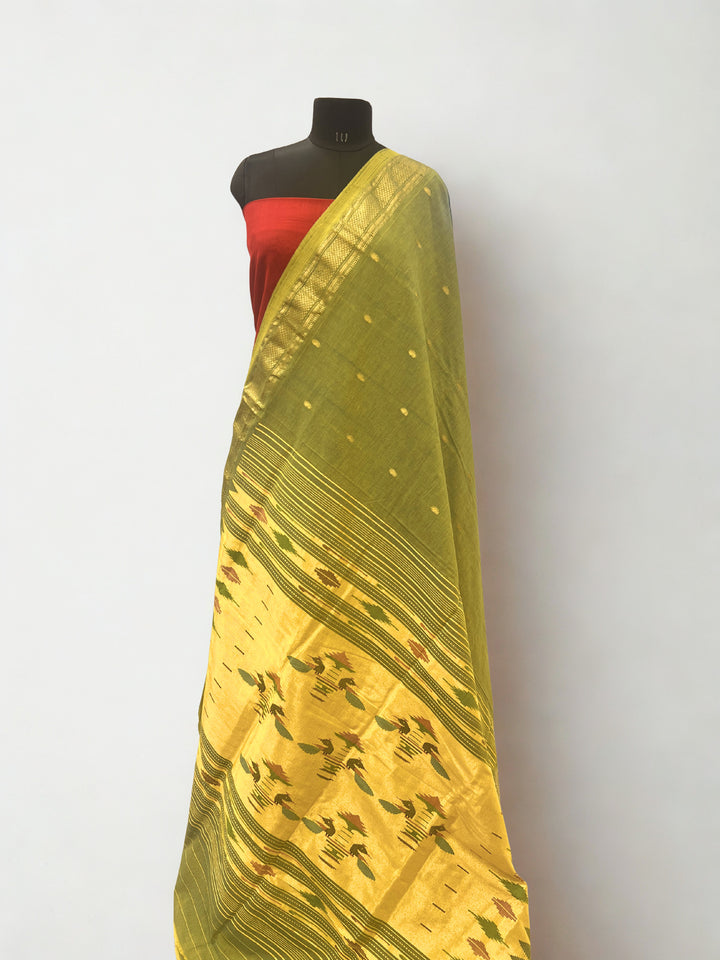 Muted olive green cotton paithani