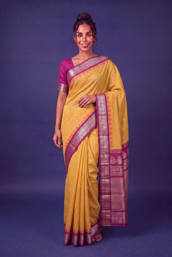 Beige Gadwal Checks Pattu Saree