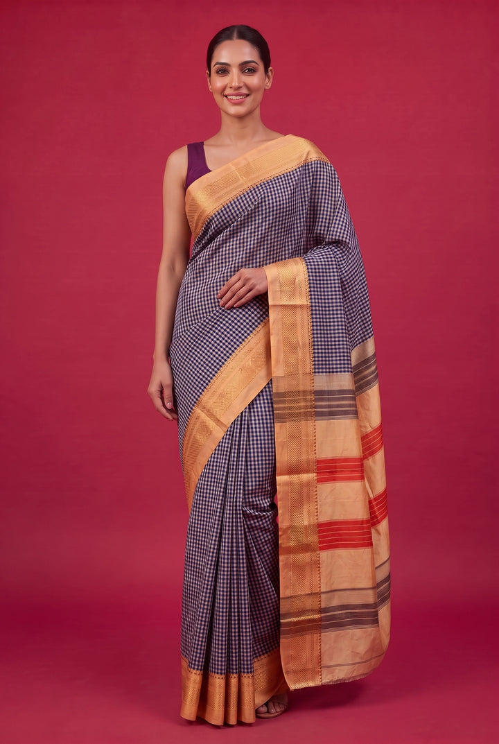 Blue Checks Cotton Ilkal Saree