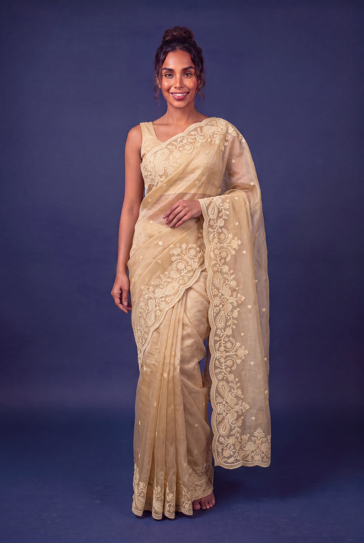 Beige Designer Saree