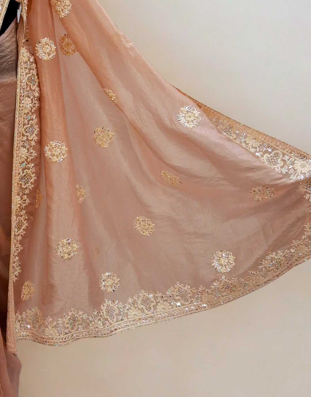 Chiku color designer saree