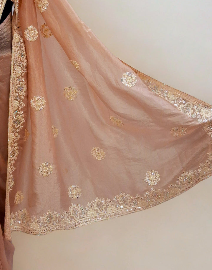 Chiku color designer saree